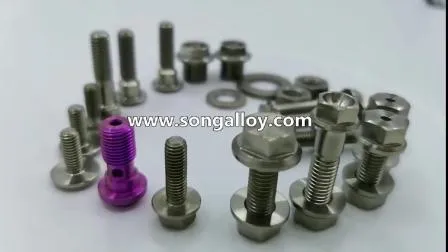 Customized Titanium Nuts and Bolts Set 